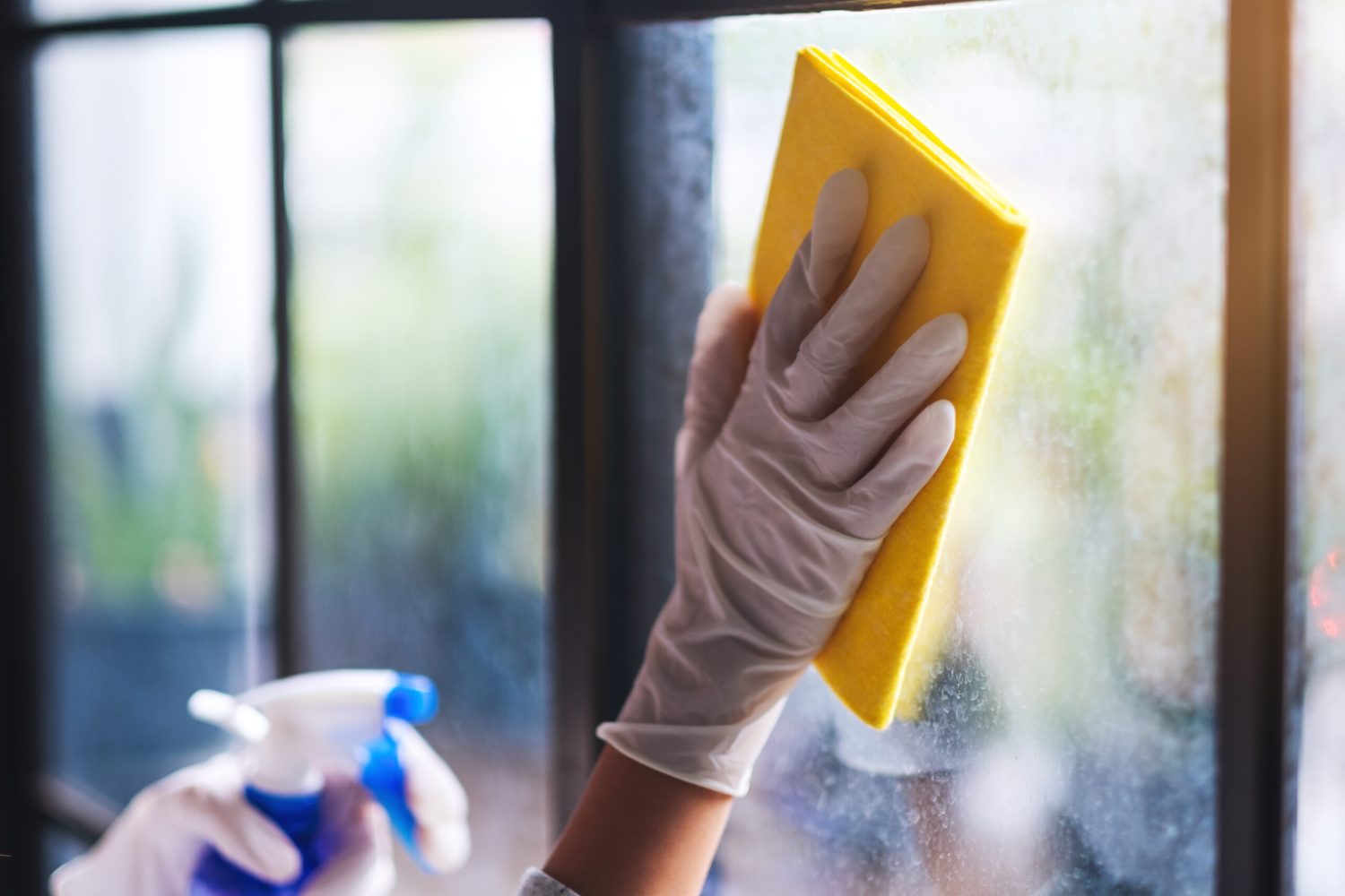 A housekepper wearing protective glove cleaning the window for housework concept